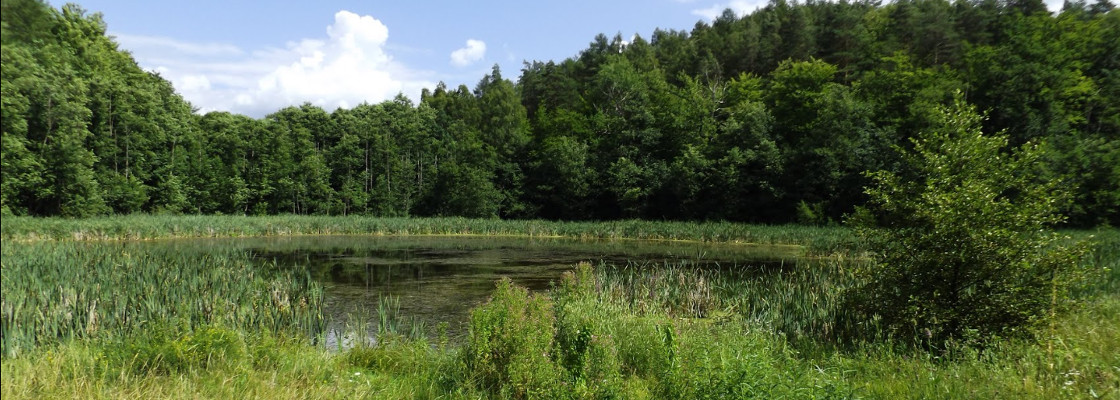 Vila lacné ubytovanie blízko Gdansku, odpočinok v Poľsku